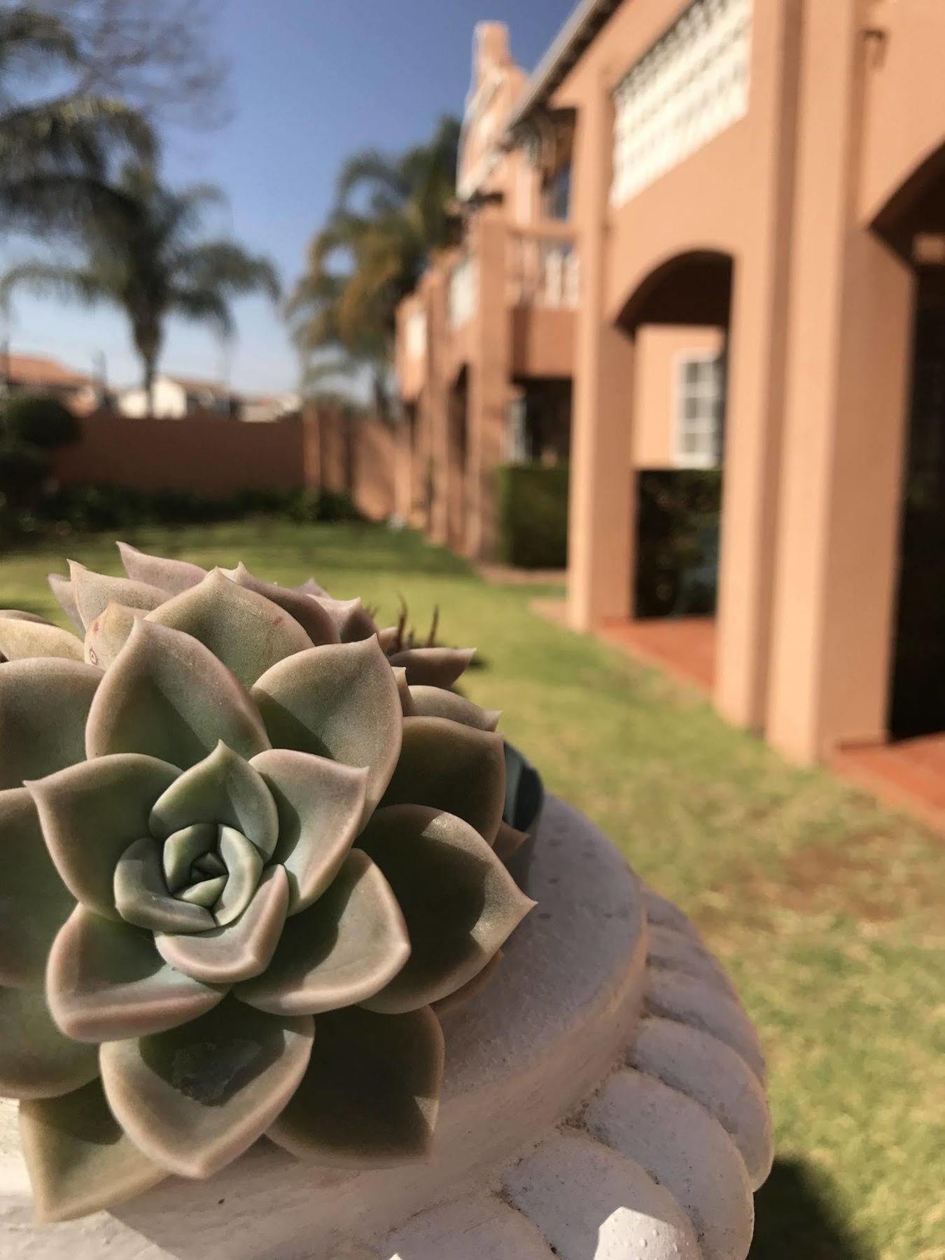 פרטוריה The Elegant Lodge Menlo Park מראה חיצוני תמונה
